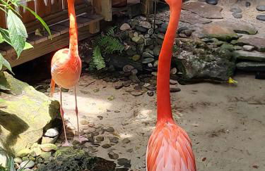 Duval Street Suite with pool - Foto 29