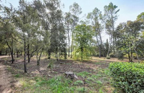 Cozy Home In Besse-Sur-Issole - Foto 11