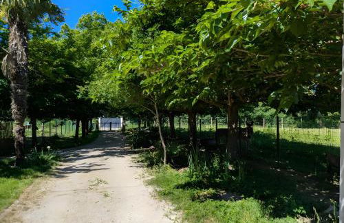 Ferme Pédagogique Bordeneuve - Foto 12