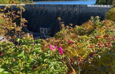 The Bridge - between NewZealand & OreMountains - Foto 53