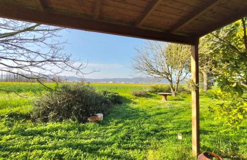 Preciosa Casa en Bordils - Foto 14