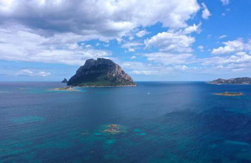 Auberge Santu Martine: Cottage with Pool (Manca) - Foto 51