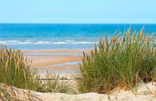 Charmante Maison Oléronnaise ALOCEANE - Foto 8