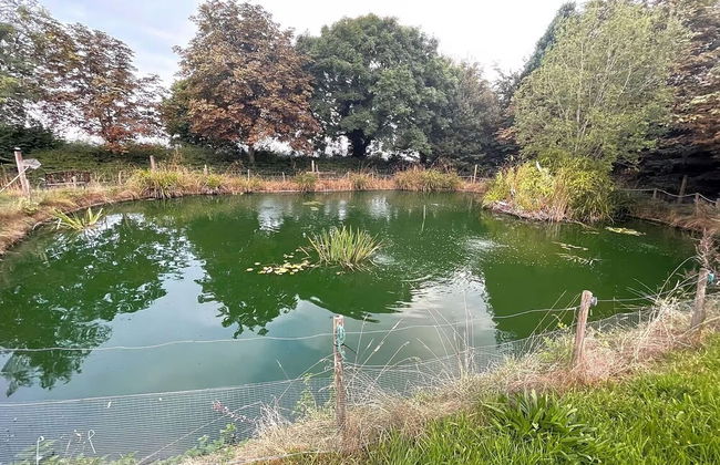 Woodlands Basic Bell Tent 2 - Foto 12