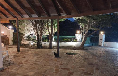 Joanna Studio - Photo 24