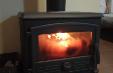 Iraña del bosque - Foto 12