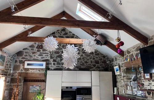 Anvil The Old Smithey - Foto 7