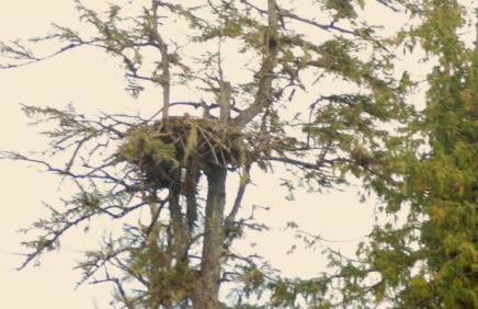 Captain's Quarters - Reduced Price Tours! - Foto 22