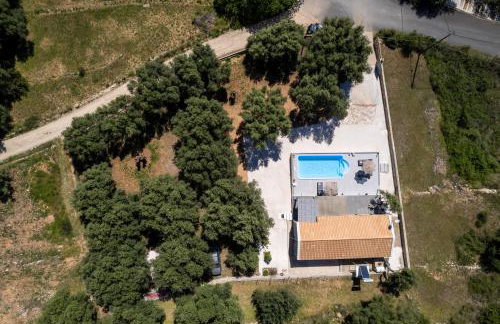 Tree of Life - Foto 19