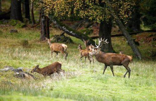 Landhaus Bernecker, Bay.W. - Foto 15