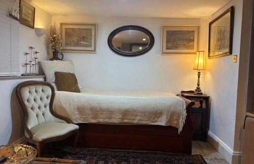 Historic Charm Garden Flat Adjoining Central Park - Foto 9