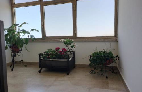 D&P Apartments Suites 1 Salemi - Foto 7