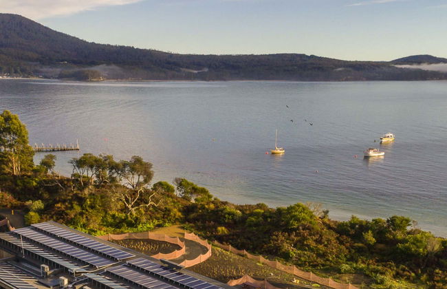 Escursione all'isola Bruny - Foto 1