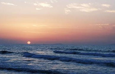 Il ginepro e la lantana - Foto 39