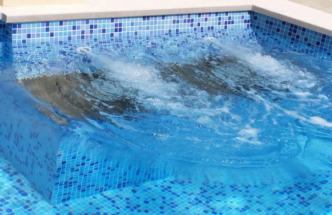 Apartments Kust - Foto 49