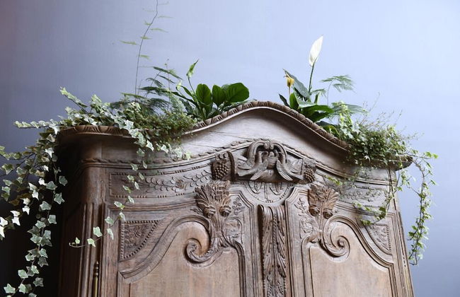 Manoir de l'évêché et Spa - Foto 7