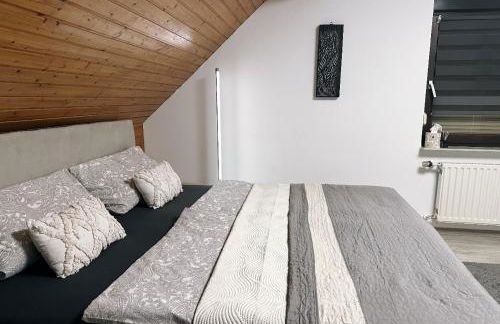 Blick auf den Rhein - Foto 17