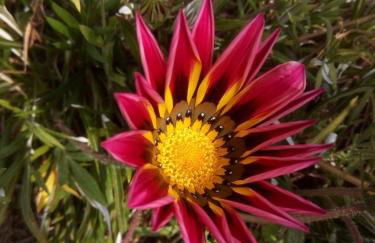 Casa do Souto - Foto 33