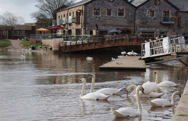 Bendene Townhouse - Photo 41