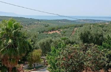 La Casa Del Nonno - Foto 14