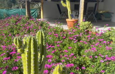 Villa Azul, Graça Portugal - Foto 54