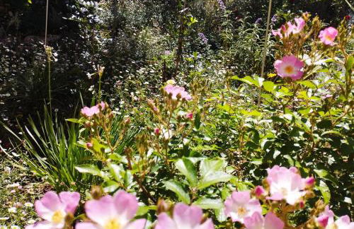 Olive Lemon Biophilic House & Lush Forest Garden - Foto 31