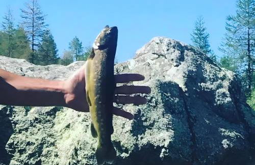 Gite Les Grillons - Foto 18