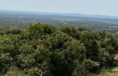 Vivi Natura - Foto 33