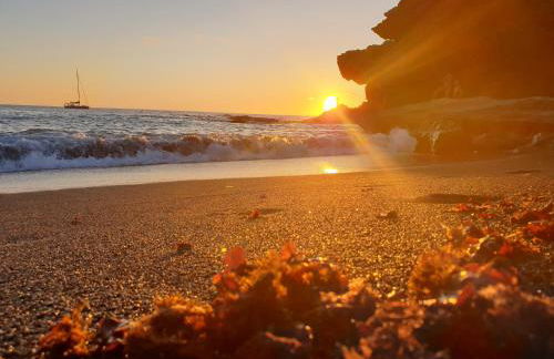 Ajuy Tortuga House - Photo 32