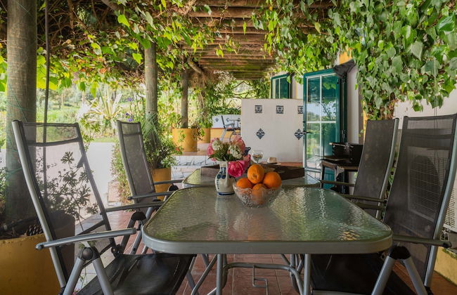 Country Mansion in Montemor-o-novo Alentejo - Foto 19