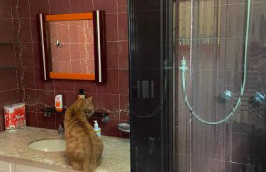 Chalé aconchegante em Mury - Foto 29