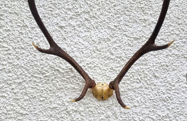 Armadale Castle Cabins - Photo 3