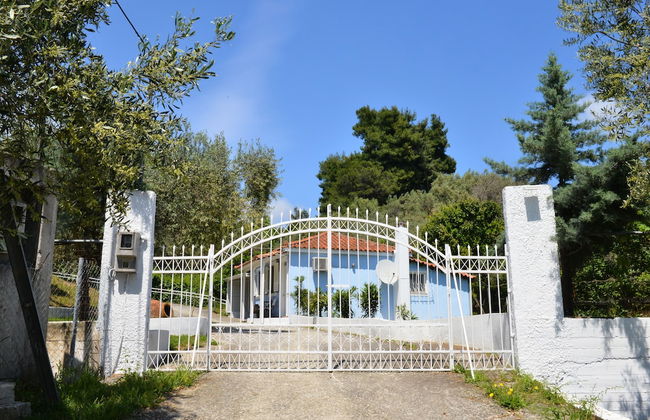 Orestis Suites - Photo 43