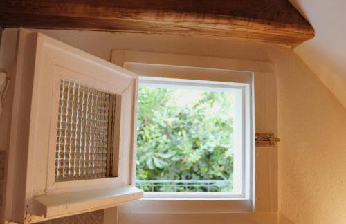 Bice di Casteruggia - Foto 10