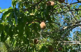 La maison d a cote - Foto 11