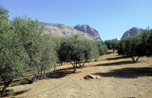 El Ventorrillo la alegría - Photo 28