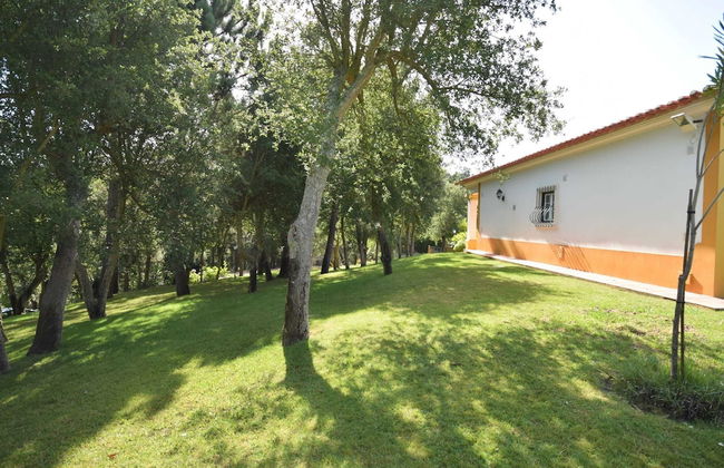 Family Retreat With Pool; Caldas da Rainha - Photo 32