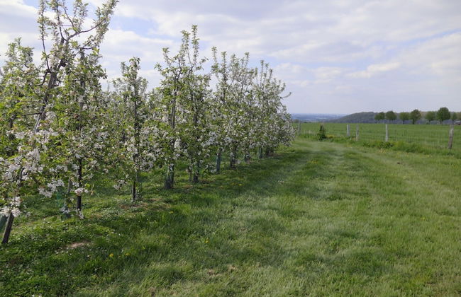 Apartment Near the Belgian Border - Photo 76