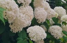 Apartamentos Rurales El Bosque de las Viñas - Photo 49