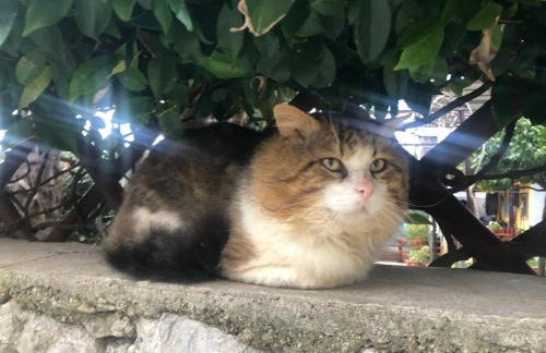 The House 1838 - Foto 33