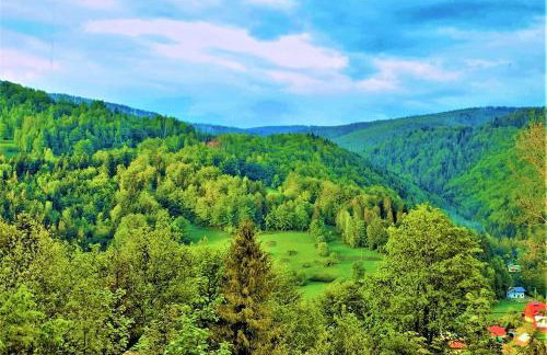 Pod Srebrzystym Świerkiem - Jacuzzi - Foto 38