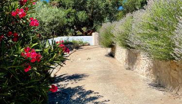 Casa Pollard - Foto 5, Garden, Garden view