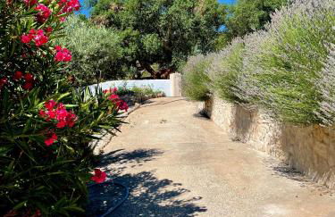 Casa Pollard - Foto 5