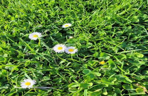 Sea View Family Escape - Foto 29