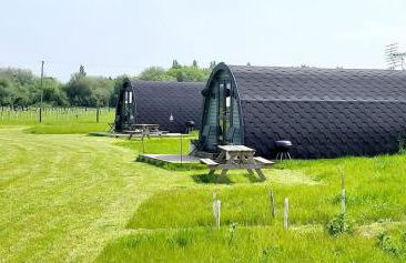 The Fern at BrackenXcapes - Photo 23