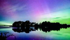 New Forest View - Photo 5