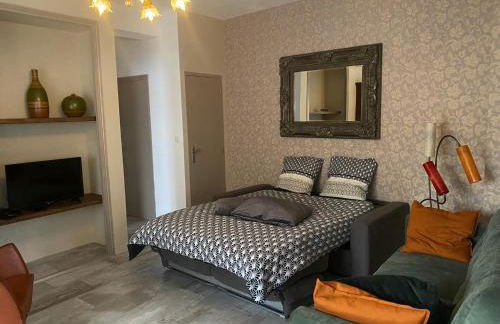 Maison du Midi, 2 Gîtes de charme - Foto 19