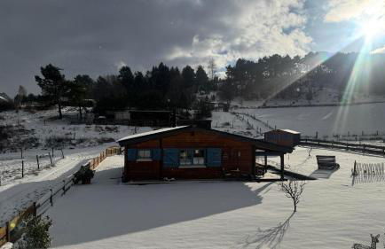 EifelChalet Niederehe - Foto 44