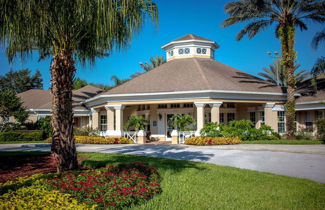 Sun Palm Paradise - Foto 61