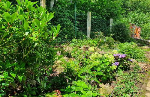 Waldhaus Harz, Natur pur mit Pool, Sauna und traumhaften Garten - Foto 6